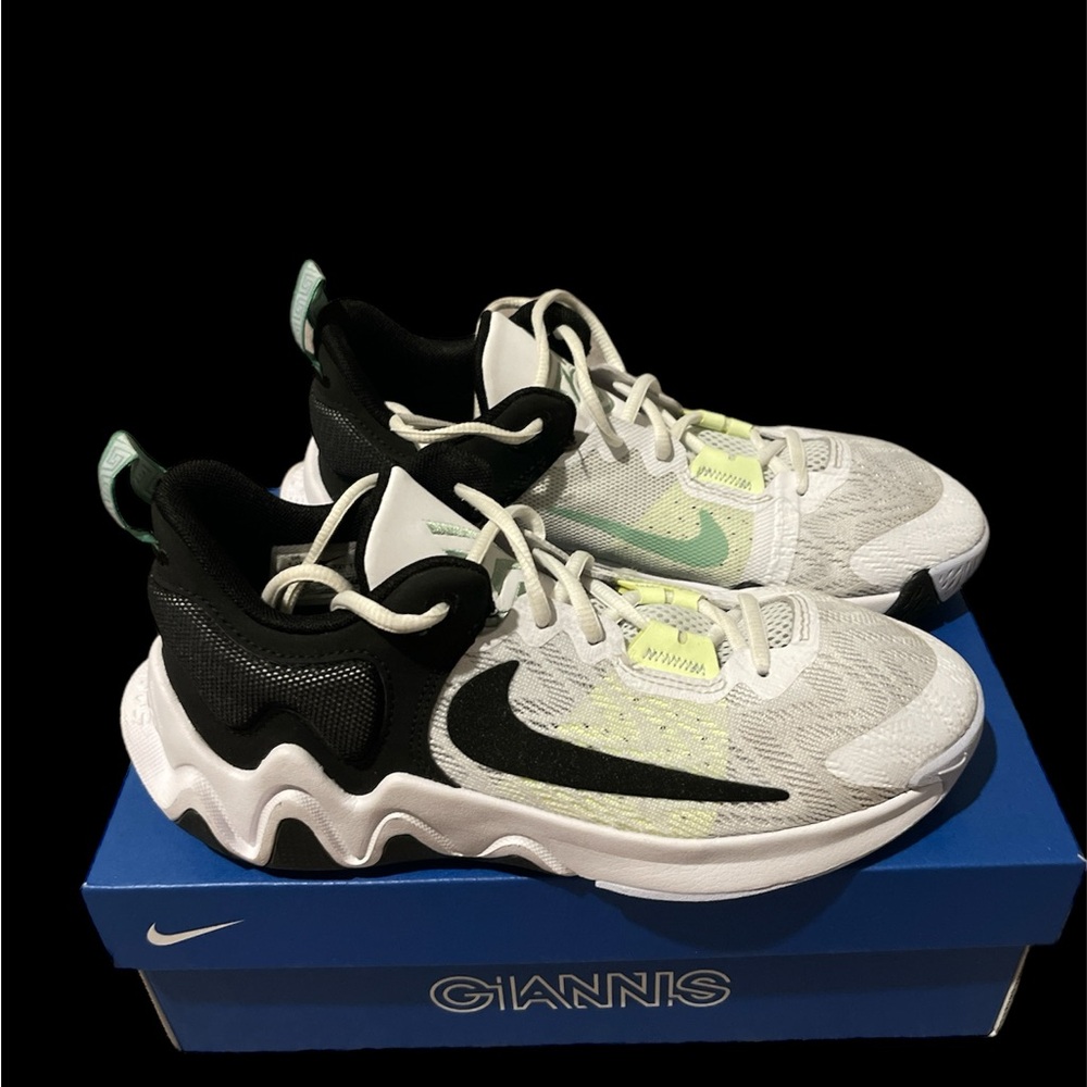 Nike Shoes - Giannis Immortality 2
